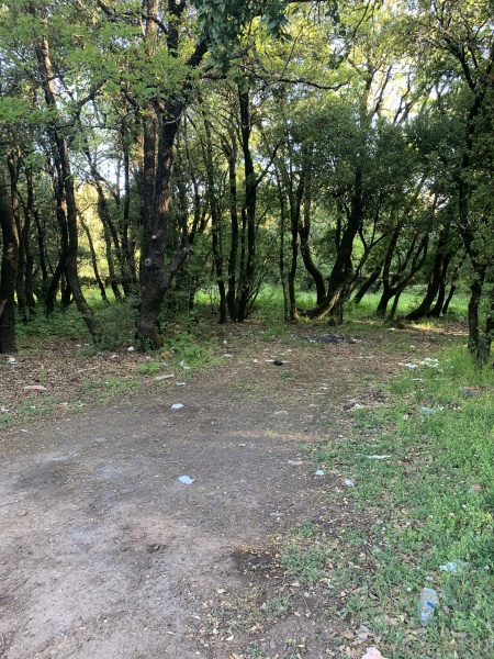 קובץ:2025-04-18T07 32 26.238500165849.jpg
