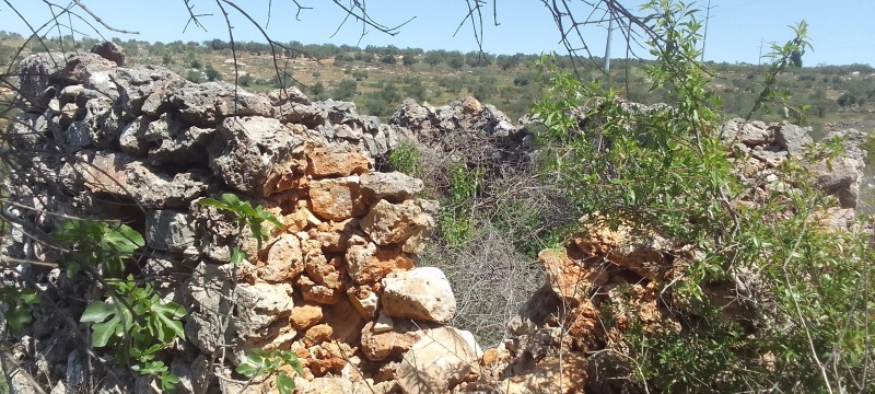 קובץ:2025-04-18T13 10 52.633339966971.jpg