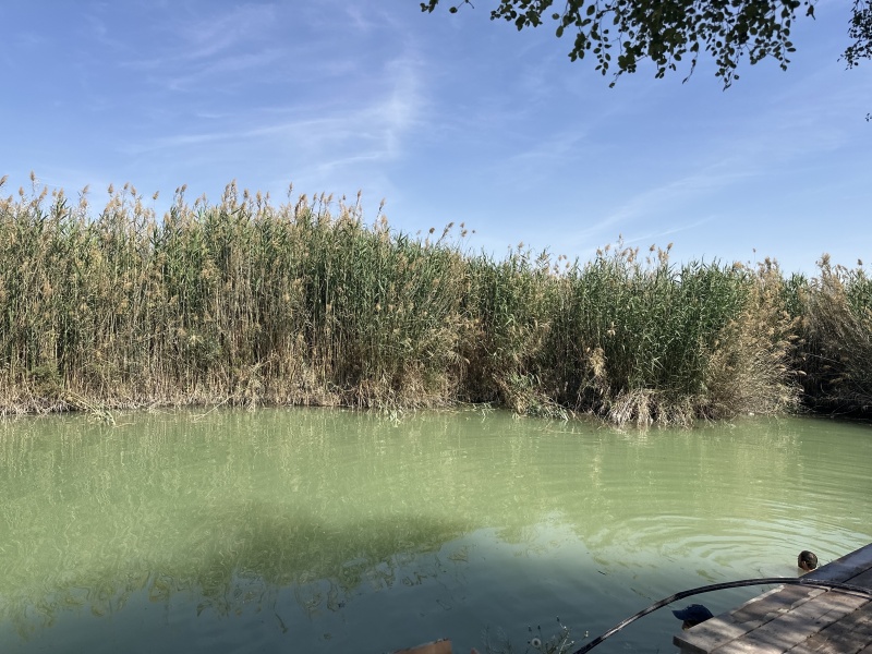 קובץ:2025-04-18T15 09 45.726737857789.jpg