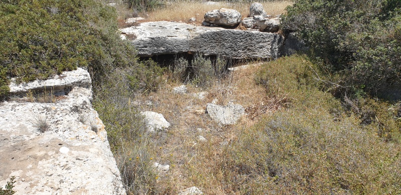 קובץ:2025-04-19T12 31 52.029857207785.jpg