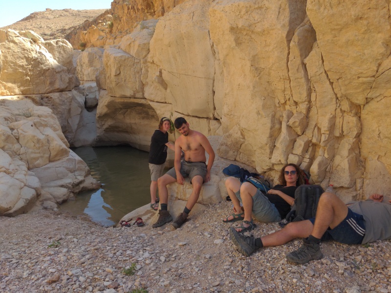 קובץ:2025-04-19T15 37 03.679984549087.jpg