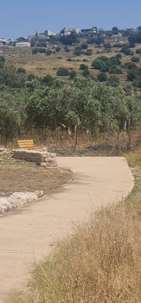 קובץ:2025-04-20T12 36 59.193130241602.jpg