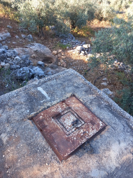 קובץ:2025-04-21T07 17 44.497402648404.jpg