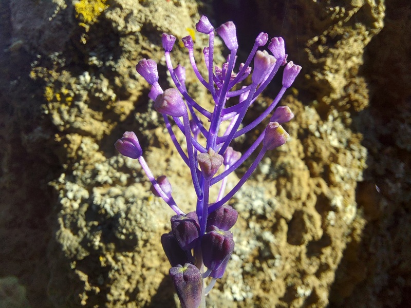 קובץ:2025-04-21T09 26 53.075020912063.jpg