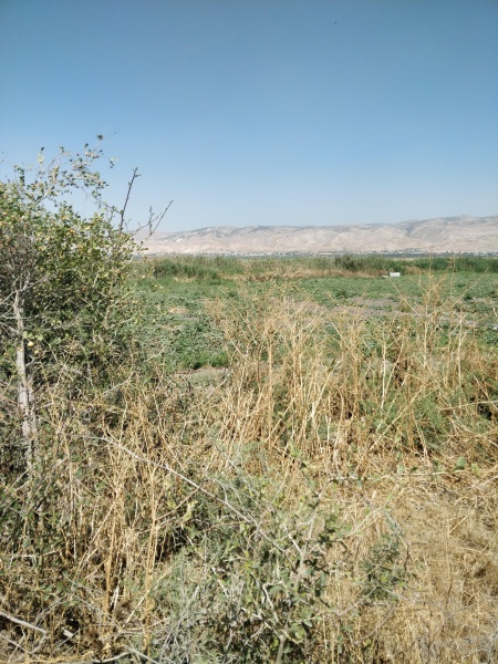 קובץ:2025-04-21T14 12 41.927675479388.jpg
