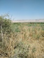 תמונה ממוזערת לגרסה מתאריך 13:03, 25 באפריל 2025
