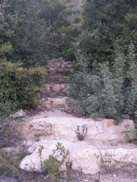 קובץ:2025-04-22T02 05 09.308647529469.jpg