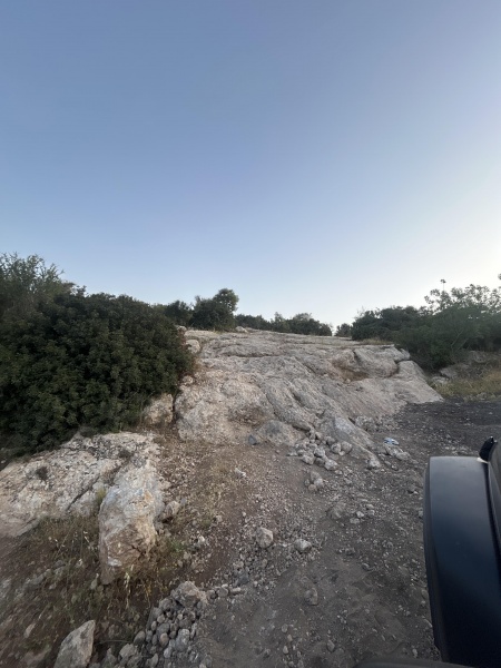 קובץ:2025-04-22T06 52 41.525096687463.jpg