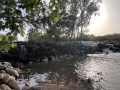 תמונה ממוזערת לגרסה מתאריך 04:27, 22 באפריל 2025
