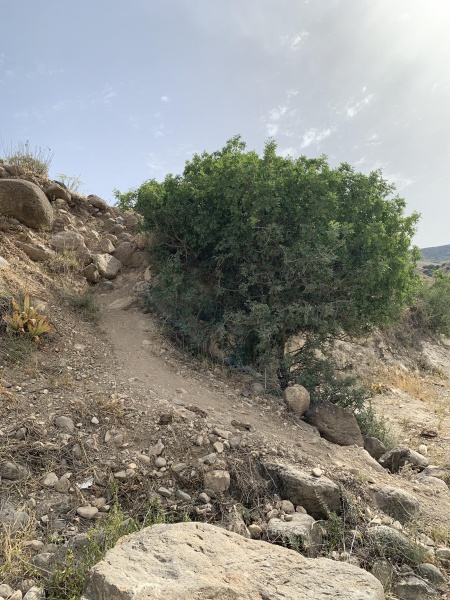 קובץ:2025-04-22T09 18 46.648654731821.jpg