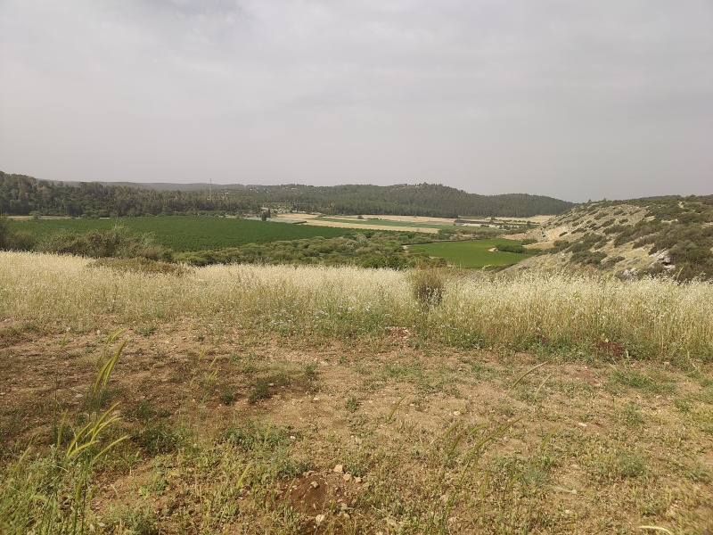 קובץ:2025-04-22T09 29 00.030692220768.jpg