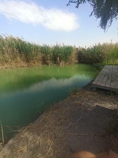 קובץ:2025-04-22T15 44 45.155984326307.jpg