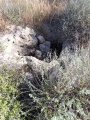 תמונה ממוזערת לגרסה מתאריך 13:48, 22 באפריל 2025