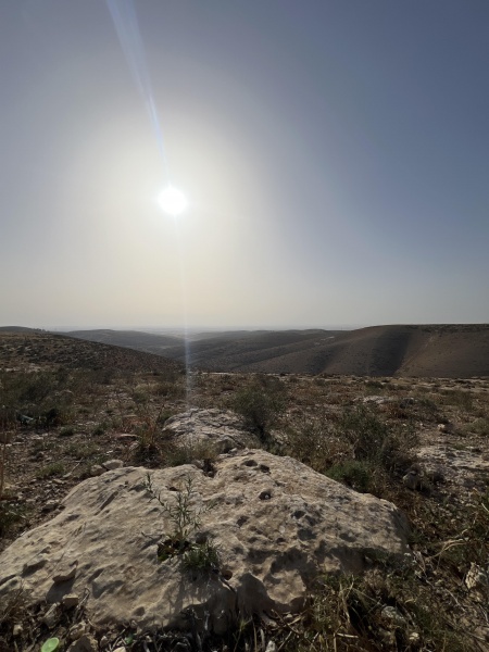 קובץ:2025-04-22T17 18 39.921938953702.jpg