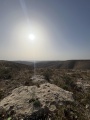 תמונה ממוזערת לגרסה מתאריך 13:58, 22 באפריל 2025