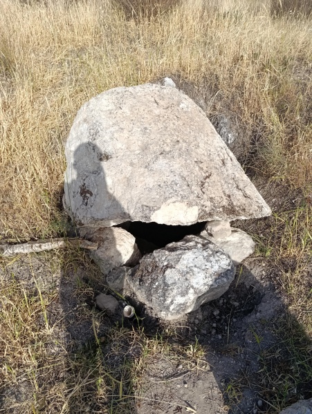 קובץ:2025-04-22T17 23 29.110841983140.jpg