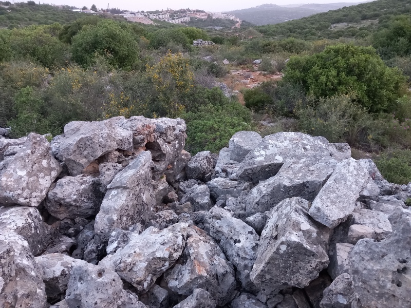 קובץ:2025-04-23T06 09 15.912762401864.jpg