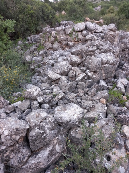 קובץ:2025-04-23T06 16 59.499369155544.jpg