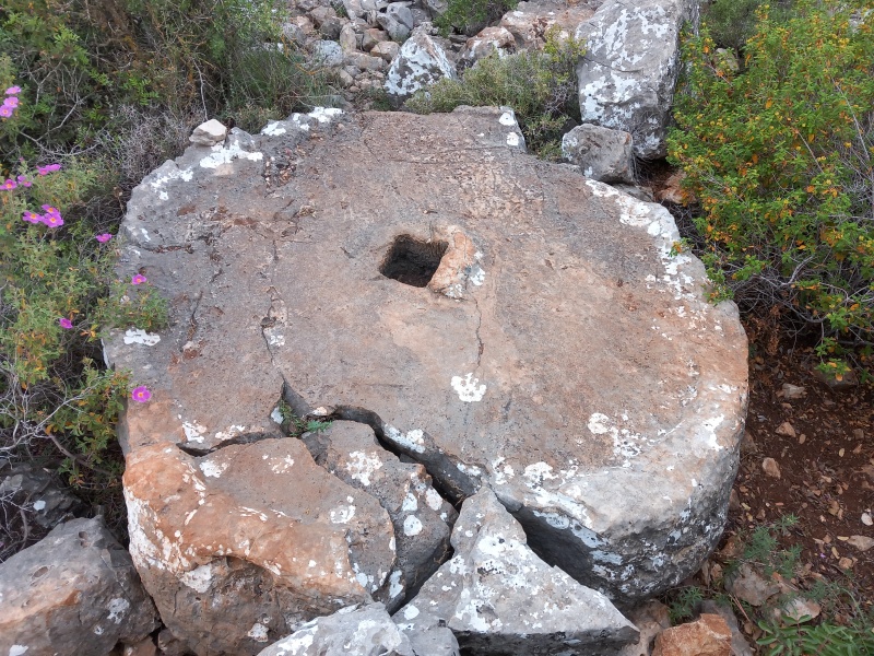 קובץ:2025-04-23T06 32 07.653833283154.jpg