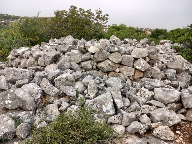 קובץ:2025-04-23T06 43 56.743302770182.jpg