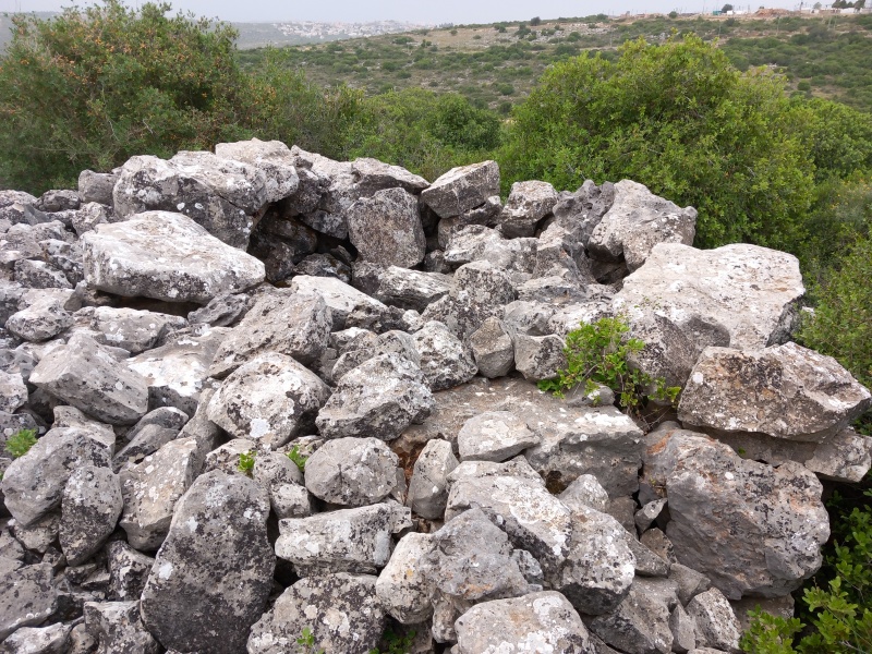 קובץ:2025-04-23T06 48 23.077311276867.jpg
