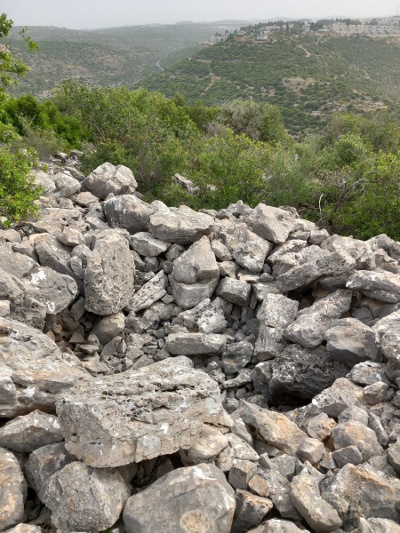 קובץ:2025-04-23T09 33 03.774818324841.jpg