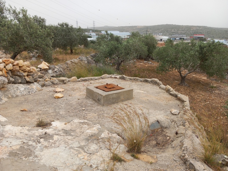 קובץ:2025-04-23T11 48 40.765135728609.jpg