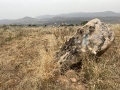 תמונה ממוזערת לגרסה מתאריך 09:07, 23 באפריל 2025