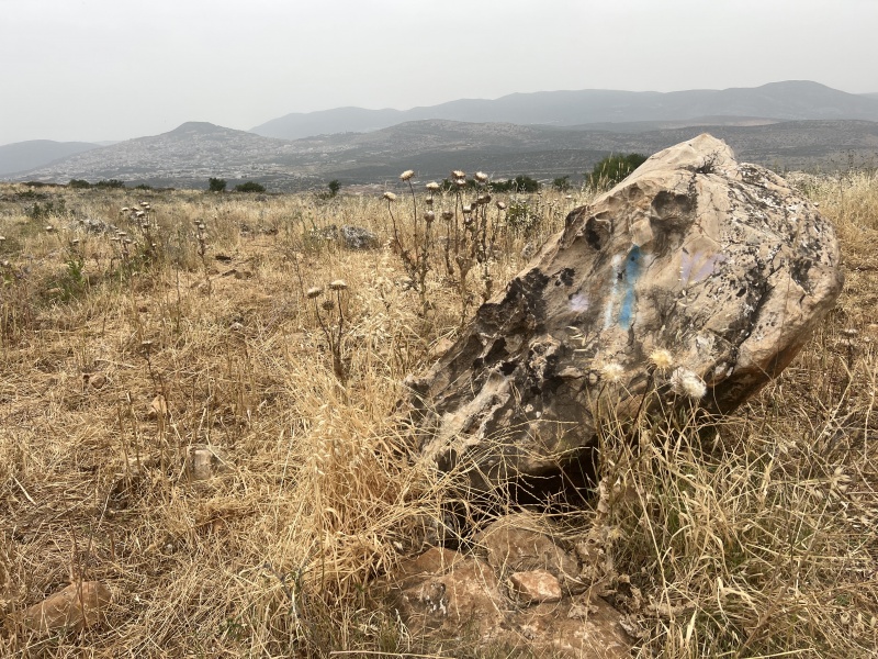 קובץ:2025-04-23T12 28 09.060142989926.jpg