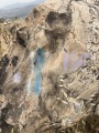 תמונה ממוזערת לגרסה מתאריך 09:08, 23 באפריל 2025