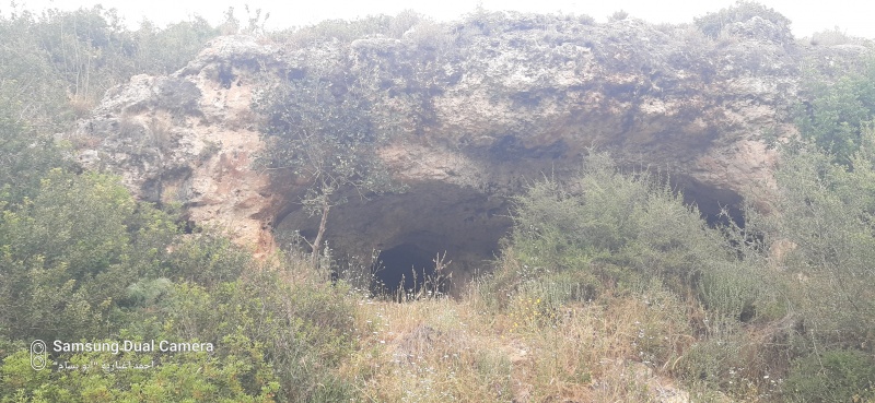 קובץ:2025-04-23T14 17 52.971530607404.jpg