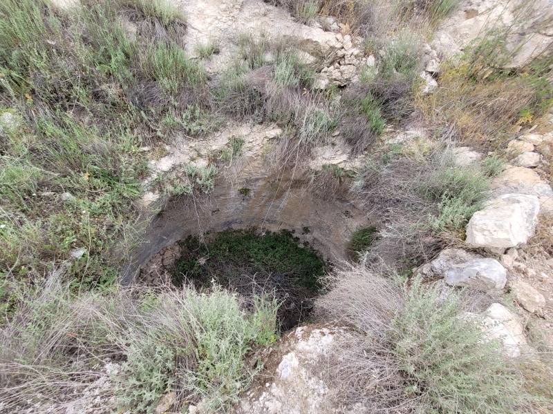 קובץ:2025-04-23T15 38 23.659127917985.jpg