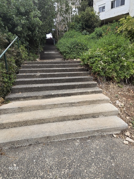 קובץ:2025-04-23T16 37 31.440213786605.jpg