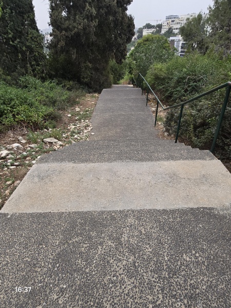 קובץ:2025-04-23T16 37 36.202445272304.jpg