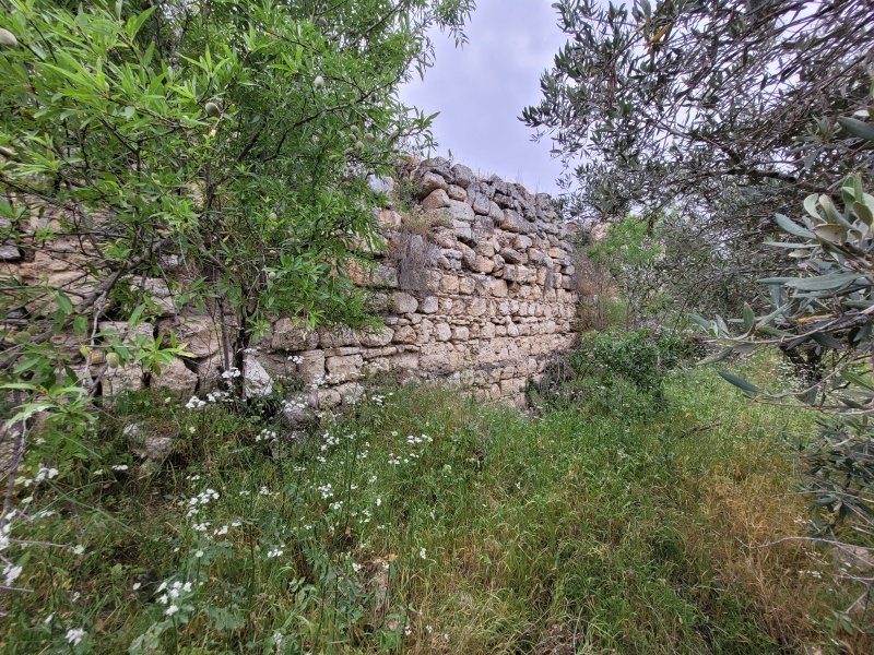 קובץ:2025-04-23T19 14 11.086279244150.jpg