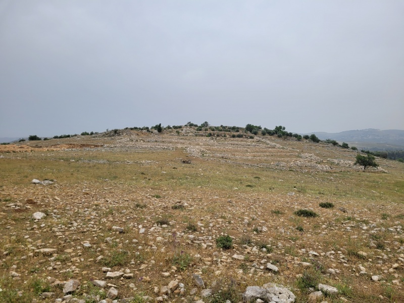 קובץ:2025-04-23T19 14 16.13770997716.jpg