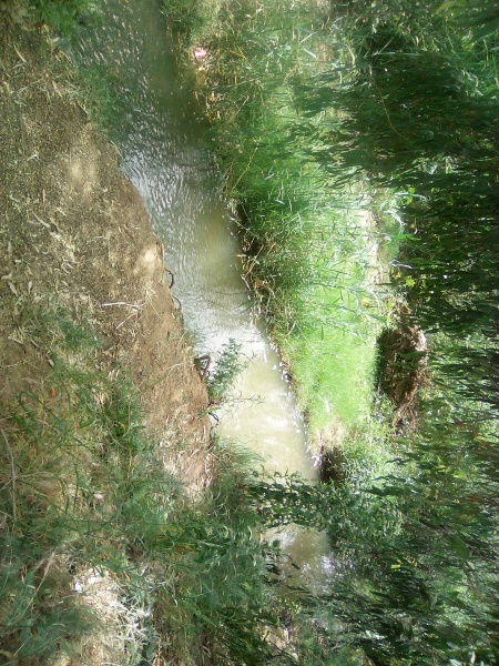 קובץ:2025-04-24T12 53 01.854994192903.jpg