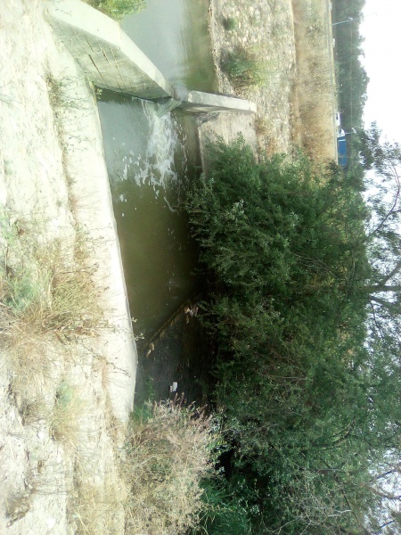 קובץ:2025-04-24T14 19 23.358450786180.jpg