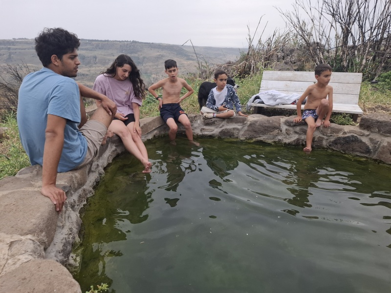 קובץ:2025-04-24T16 33 32.835514605003.jpg