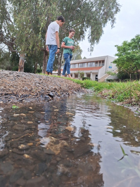 קובץ:2025-04-24T16 36 00.831198177155.jpg