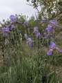 תמונה ממוזערת לגרסה מתאריך 15:22, 24 באפריל 2025