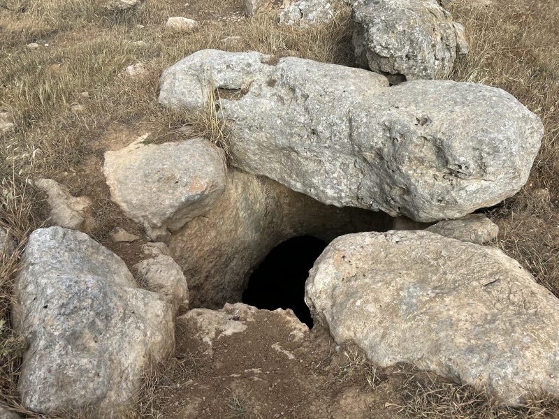 קובץ:2025-04-24T17 11 42.945264377208.jpg