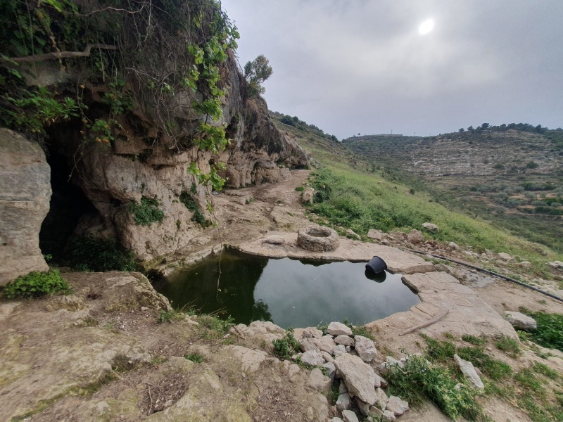 קובץ:2025-04-24T17 20 49.162984326235.jpg