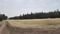 תמונה ממוזערת לגרסה מתאריך 14:57, 24 באפריל 2025