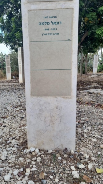 קובץ:2025-04-24T18 16 30.971507825334.jpg