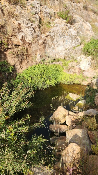 קובץ:2025-04-25T08 26 08.309615846143.jpg