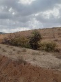 תמונה ממוזערת לגרסה מתאריך 05:18, 25 באפריל 2025