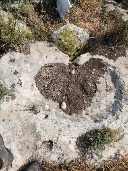 קובץ:2025-04-25T09 43 16.391635446173.jpg