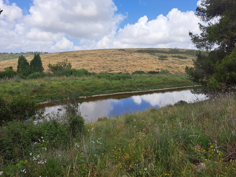 קובץ:2025-04-25T10 22 09.06439356501.jpg