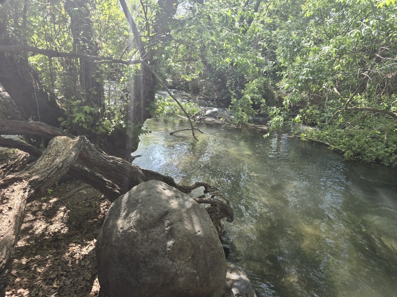 קובץ:2025-04-25T15 25 34.525779111037.jpg